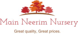 Main-Neerim-Nursery